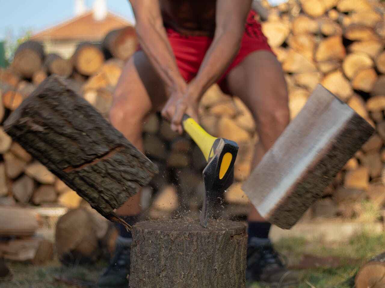 Emergency Storm Tree Removal